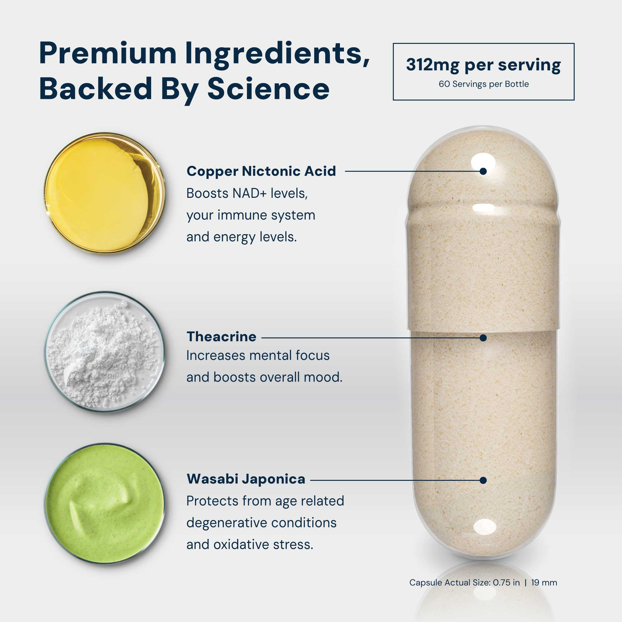 NAD3® 120 • An All Natural NAD+ Booster® Dietary Supplement (2 Month Supply)