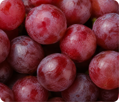 Ingredient image