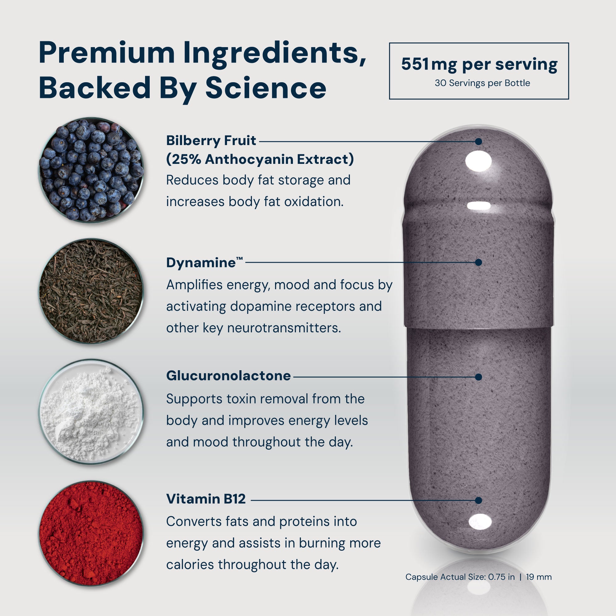 M6® Metabolism Optimization