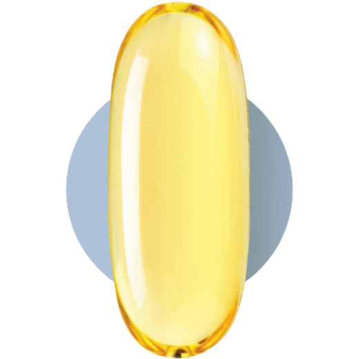 N4 Fish Oil capsule